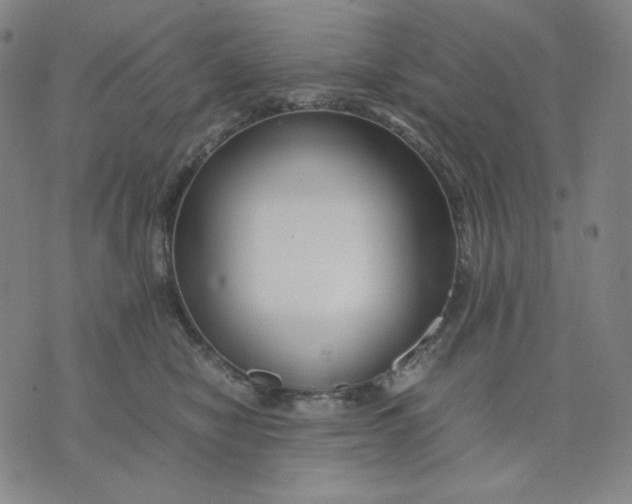 X0000071790470200607211626