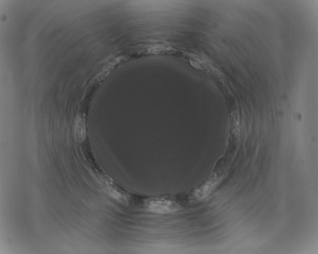 X0000071790471200607211626