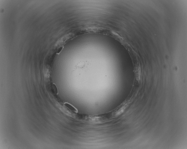 X0000071790472200607211626