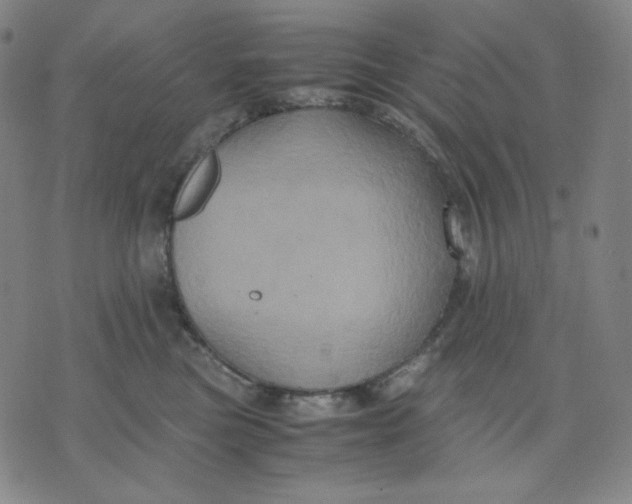 X0000071790473200607211626