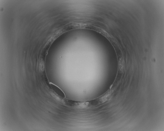 X0000071790474200607211626