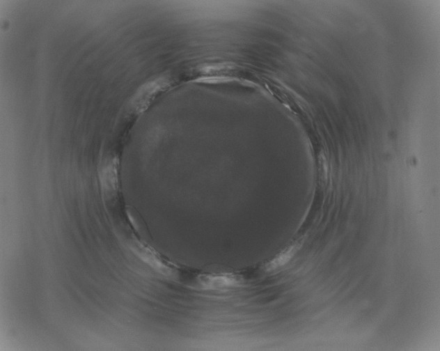 X0000071790475200607211626