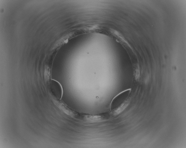 X0000071790476200607211626