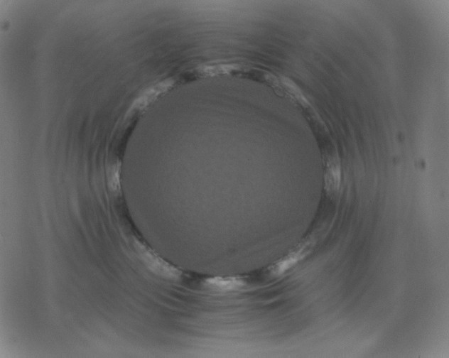 X0000071790477200607211626