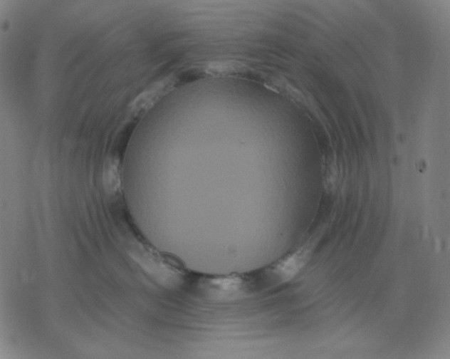 X0000071790478200607211626