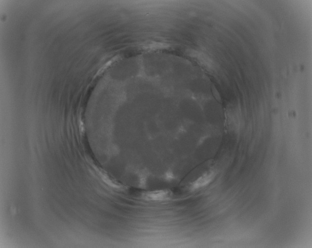 X0000071790479200607211627