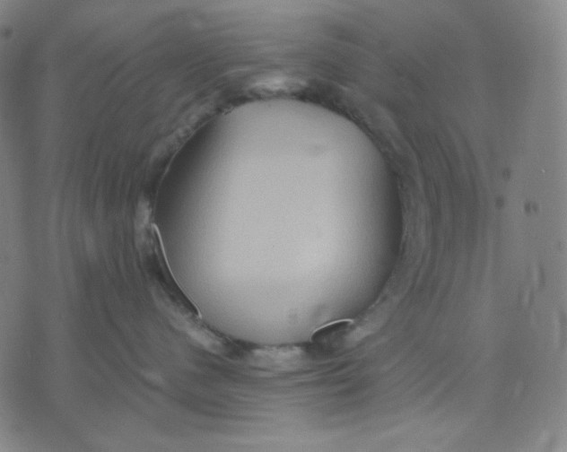 X0000071790480200607211627