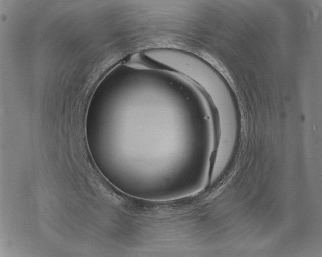 X0000071790481200607211626