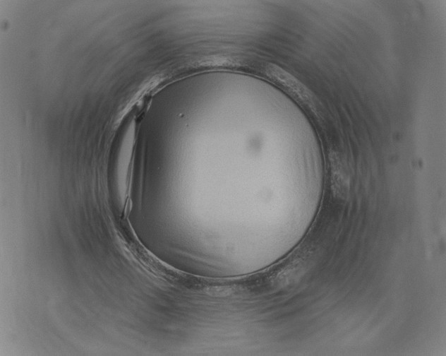 X0000071790482200607211626