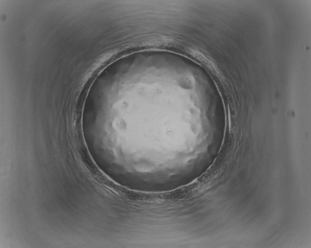 X0000071790483200607211626