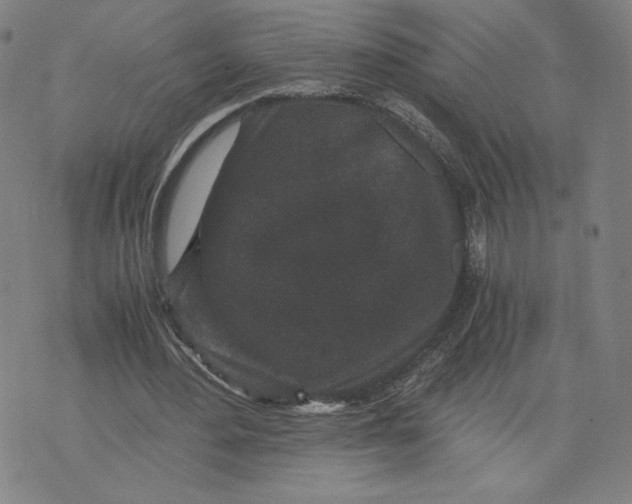 X0000071790484200607211626