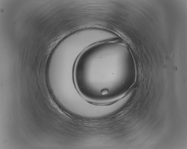 X0000071790485200607211626