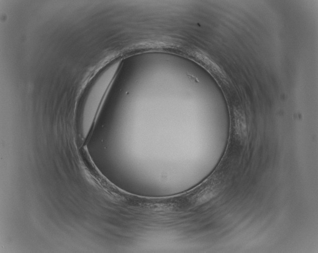 X0000071790486200607211626