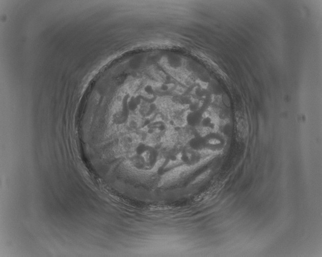 X0000071790487200607211626