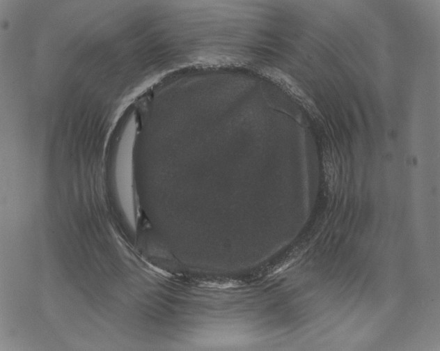 X0000071790488200607211626