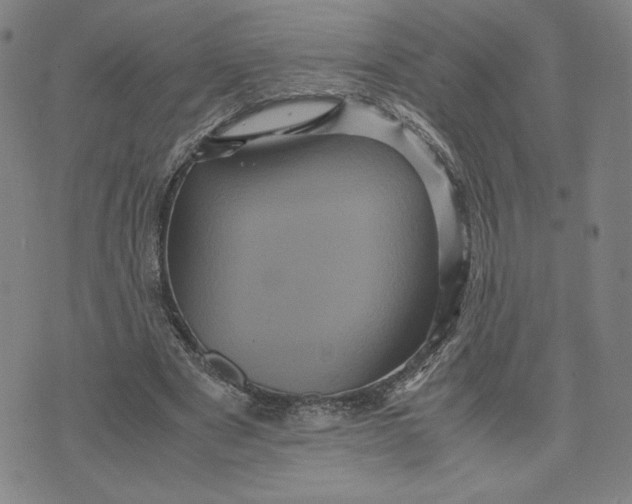 X0000071790489200607211626