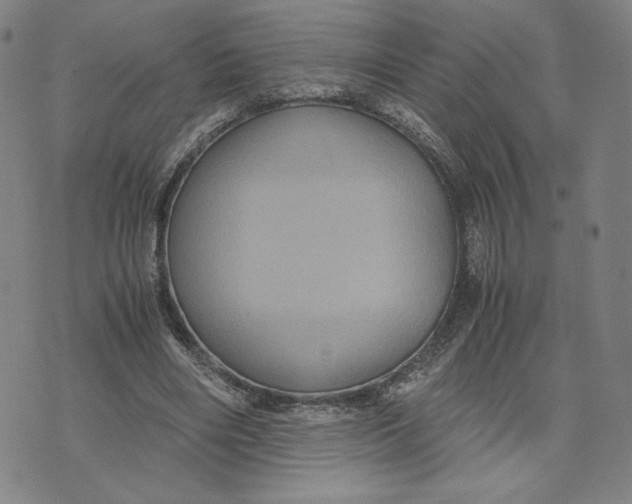 X0000071790490200607211626