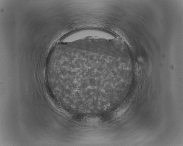 X0000071790491200607211626