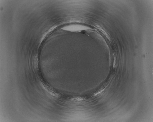 X0000071790492200607211626