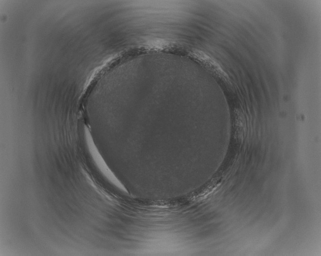 X0000071790496200607211625