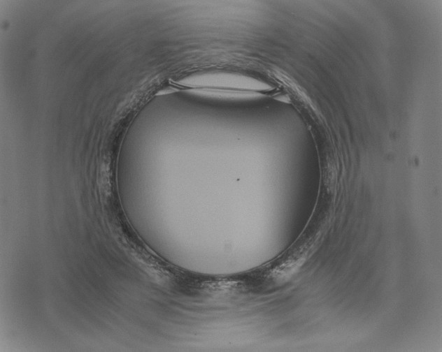 X0000071790497200607211625