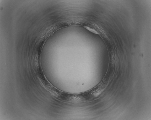 X0000071790498200607211625