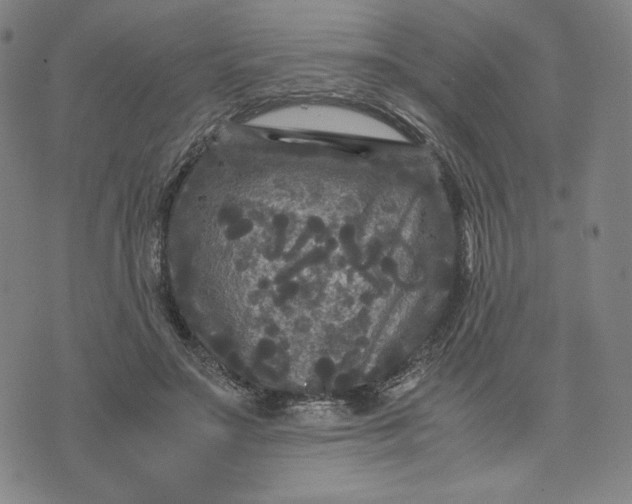 X0000071790499200607211625