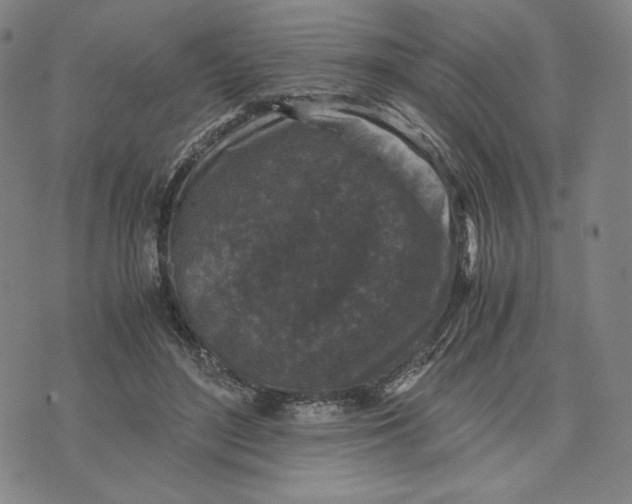 X0000071790500200607211625