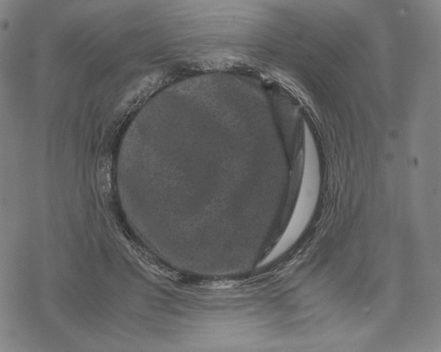 X0000071790501200607211625