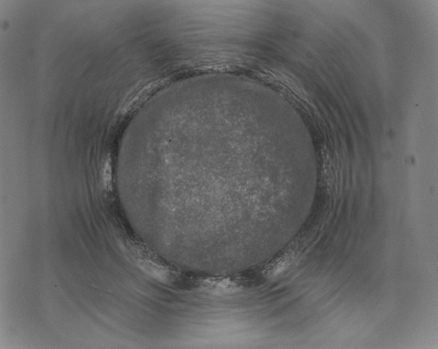 X0000071790502200607211625