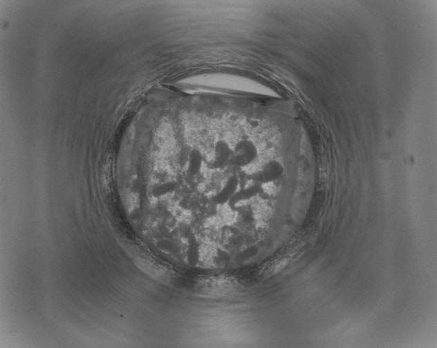 X0000071790503200607211625