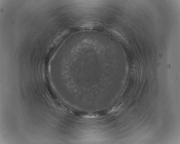 X0000071790504200607211625