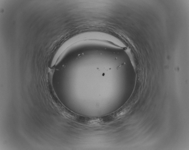 X0000071790505200607211625