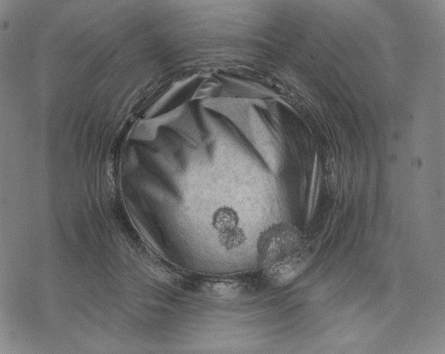 X0000071790506200607211625