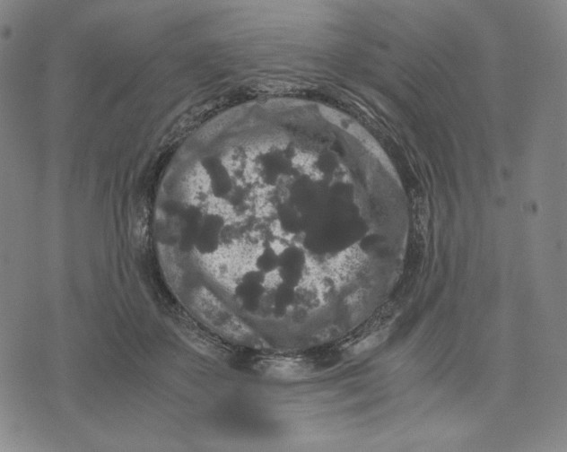 X0000071790507200607211625