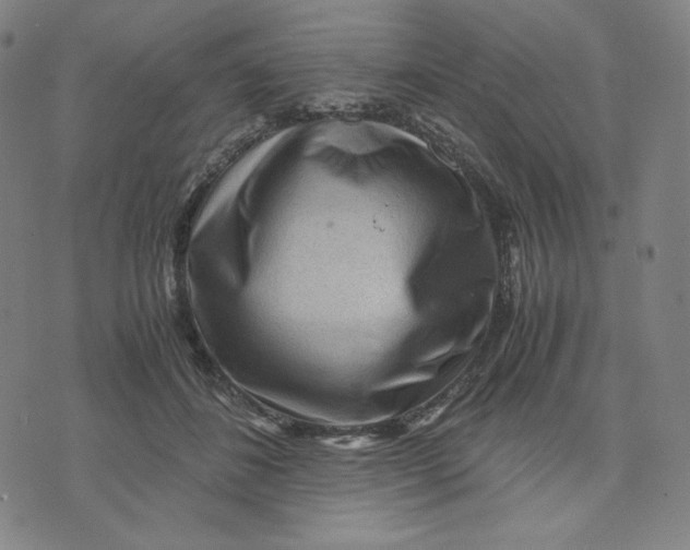 X0000071790508200607211625