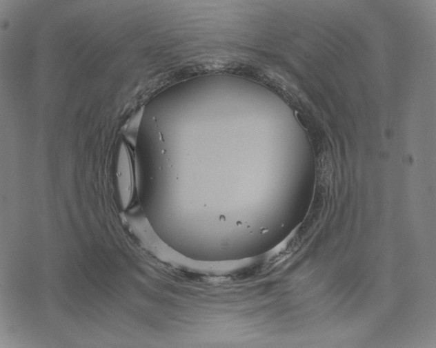 X0000071790509200607211625