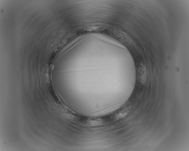 X0000071790510200607211625