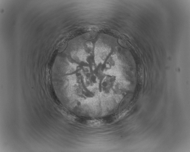 X0000071790511200607211625