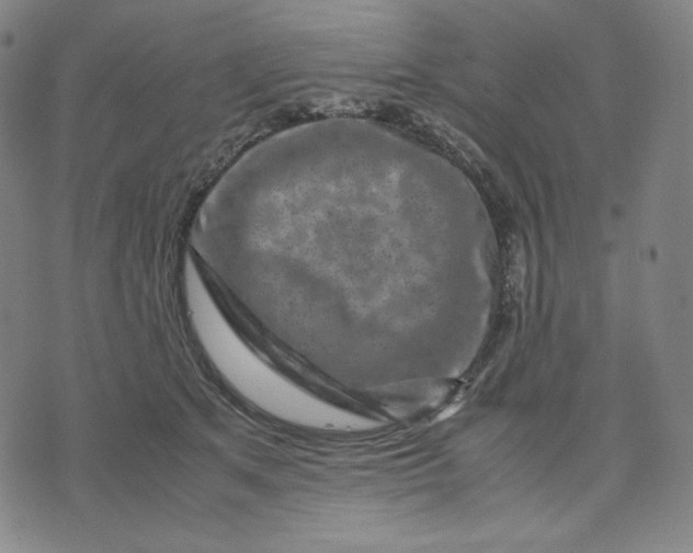 X0000071790513200607211625