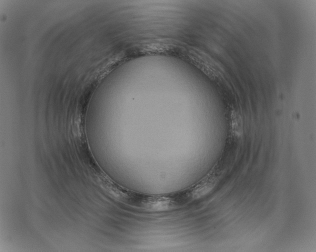 X0000071790514200607211625