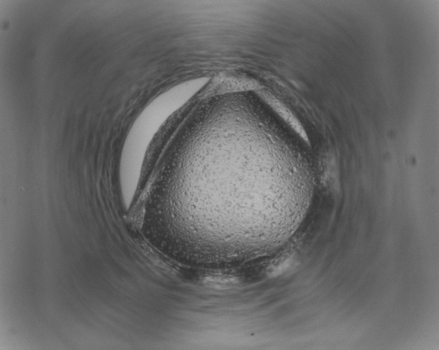 X0000071790515200607211625