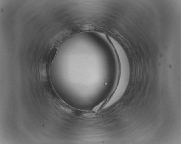 X0000071790516200607211625