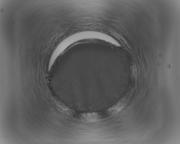 X0000071790517200607211625