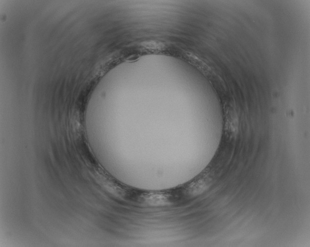 X0000071790518200607211625