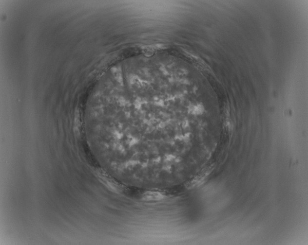 X0000071790519200607211625