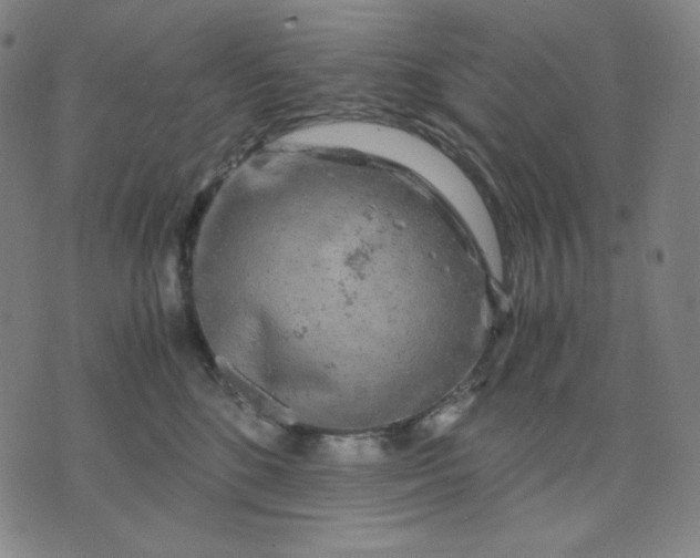 X0000071790520200607211625