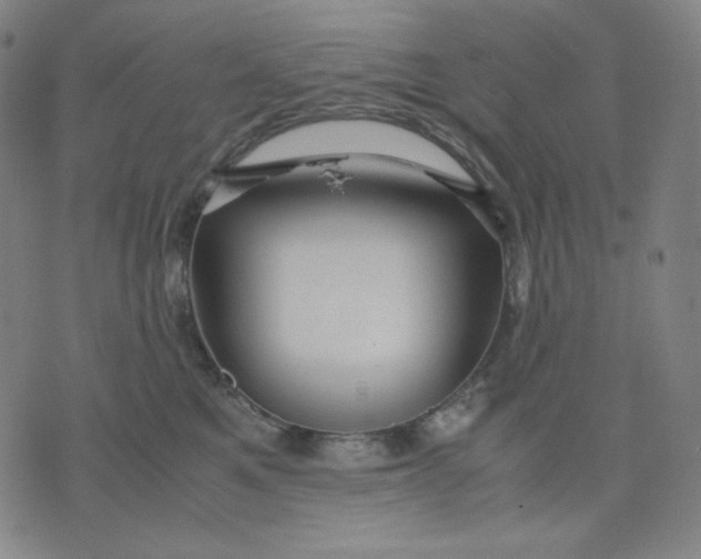 X0000071790521200607211625