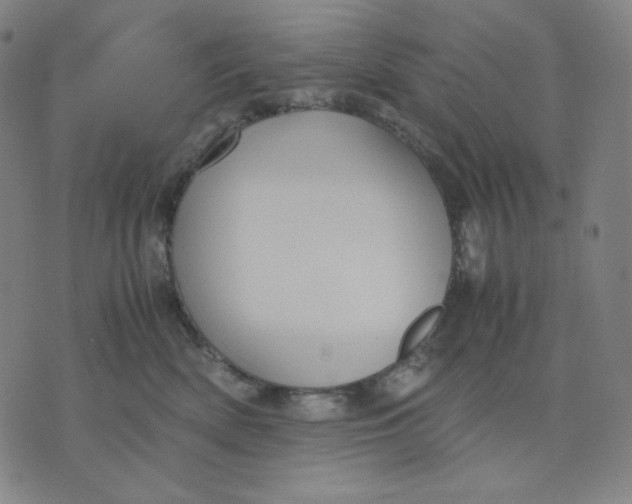 X0000071790522200607211625