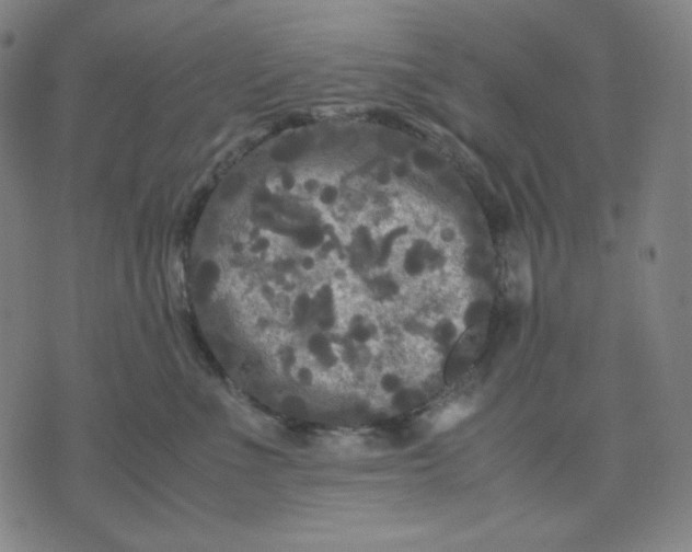 X0000071790523200607211625